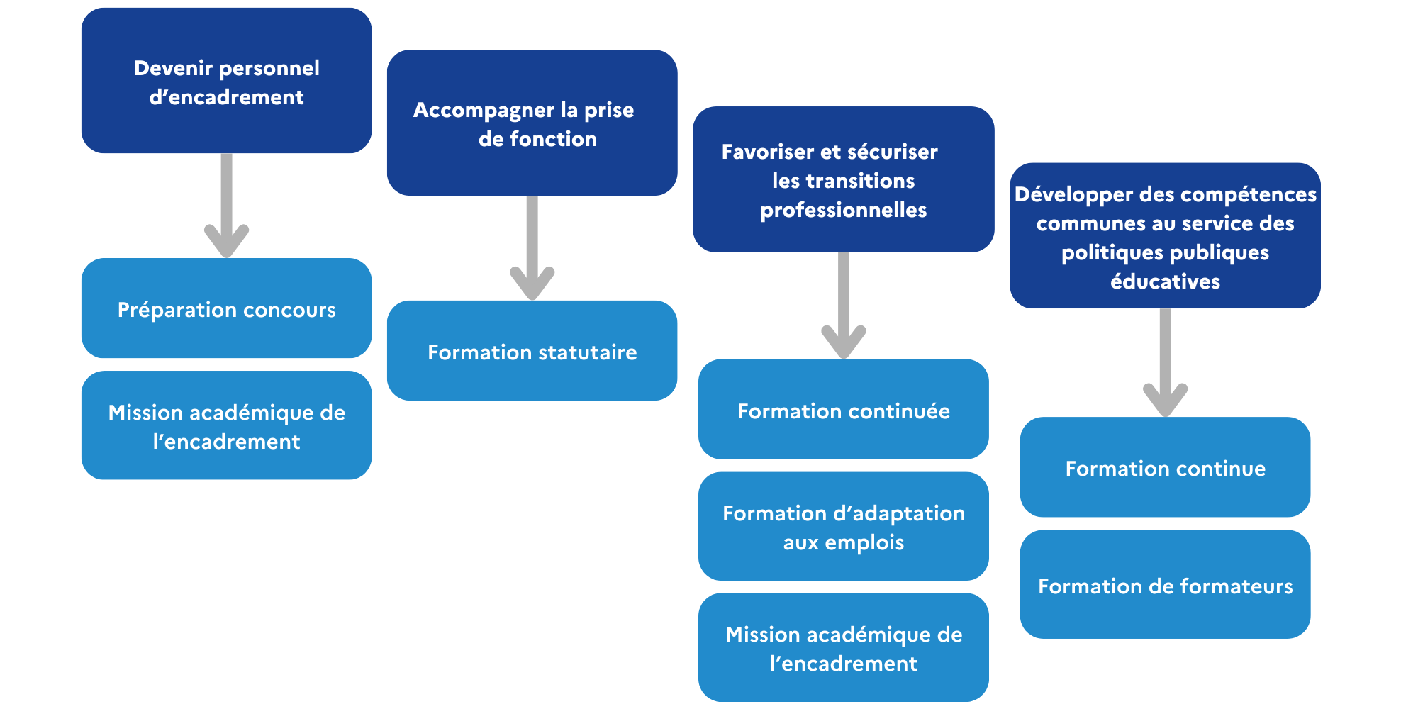 Schéma encadrement