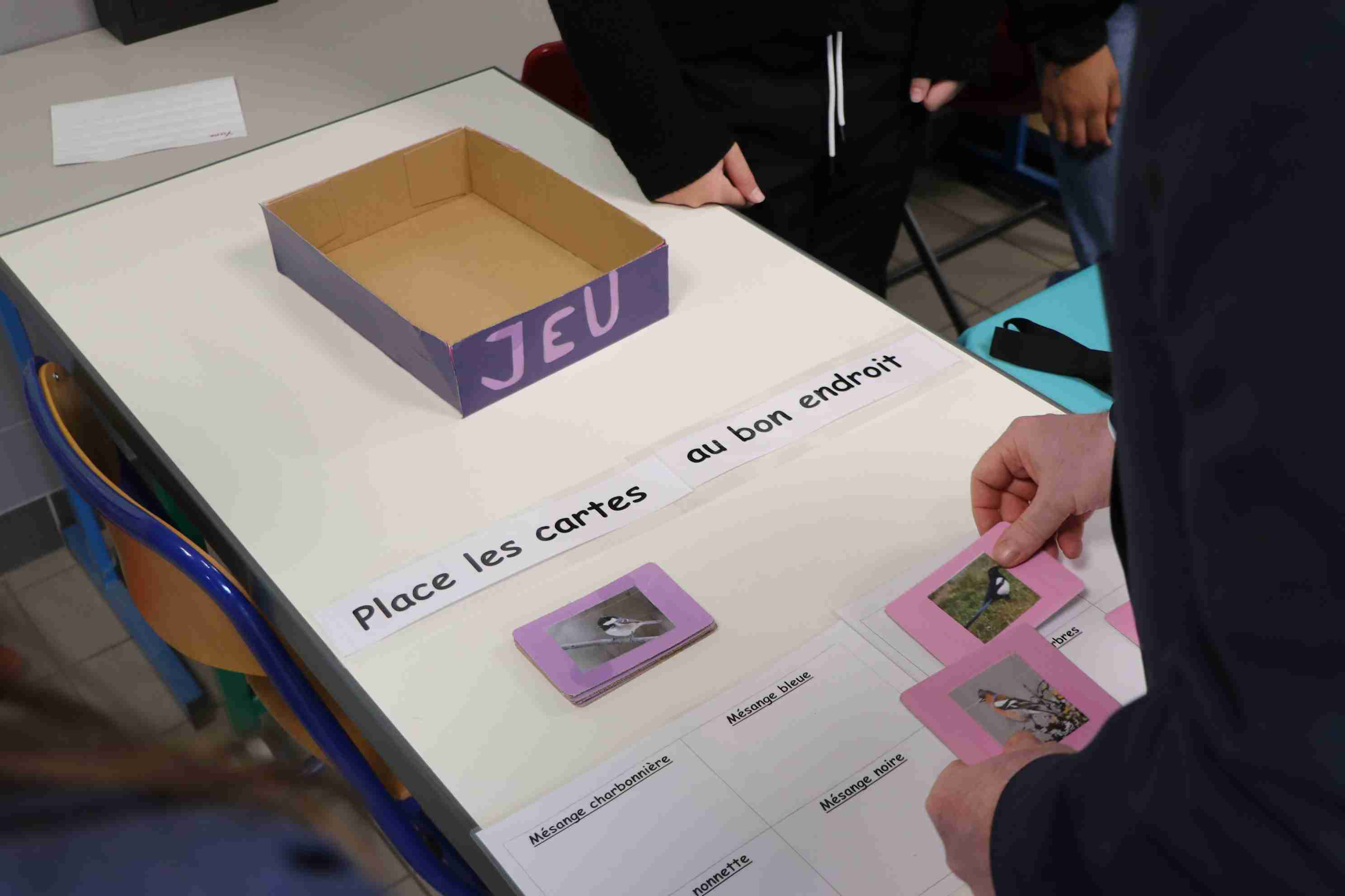 Actions et créations d'élèves du collège Anne Frank à Bussy-Saint-Georges